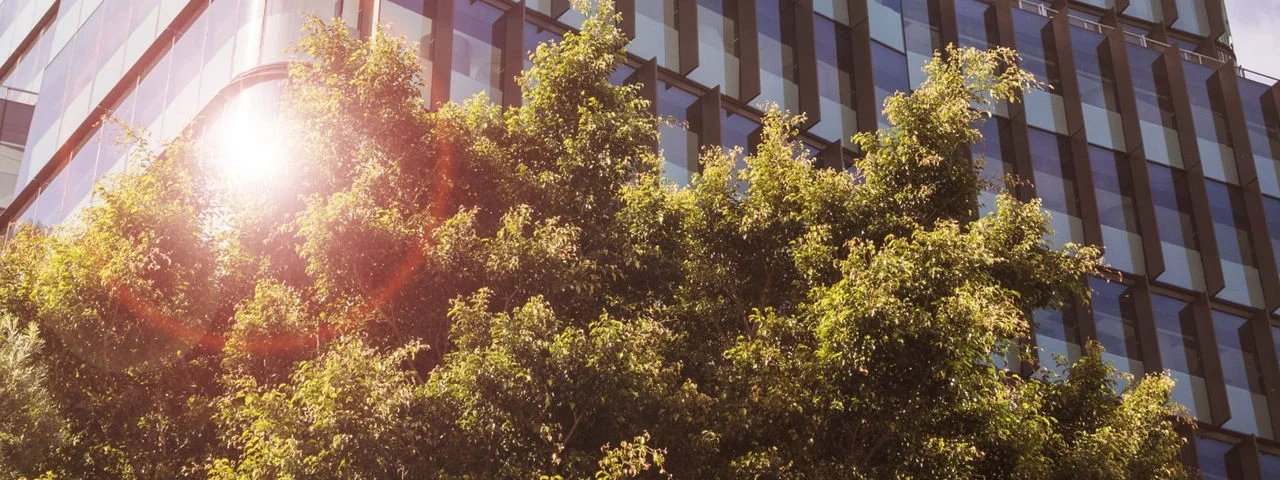 Western Sydney University Hassall St Parramatta campus with green foliage in foreground